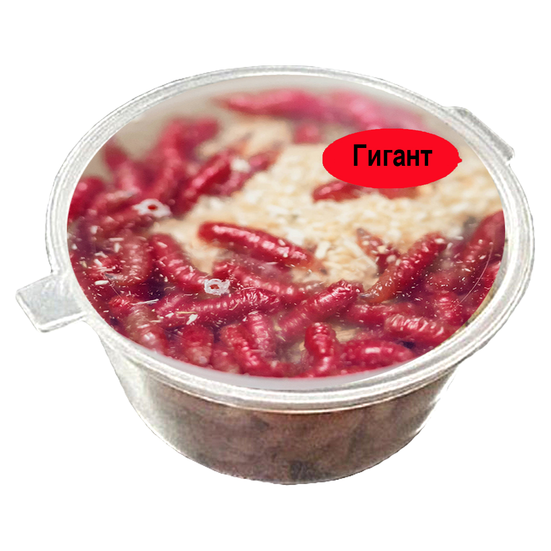 Опарыш в банке Гигант 03 Красный