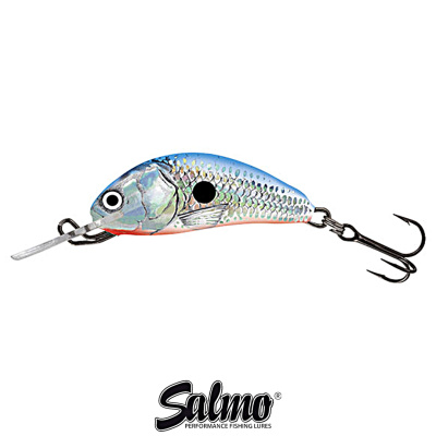 Воблер Salmo Hornet 3F (SBS silver blue shad)