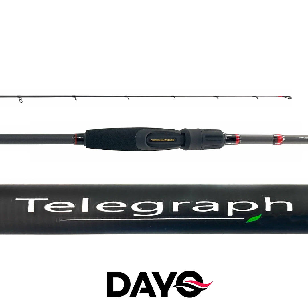 Спиннинг Dayo Telegraph 00