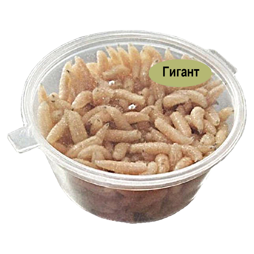 Опарыш в банке Гигант 02 Белый