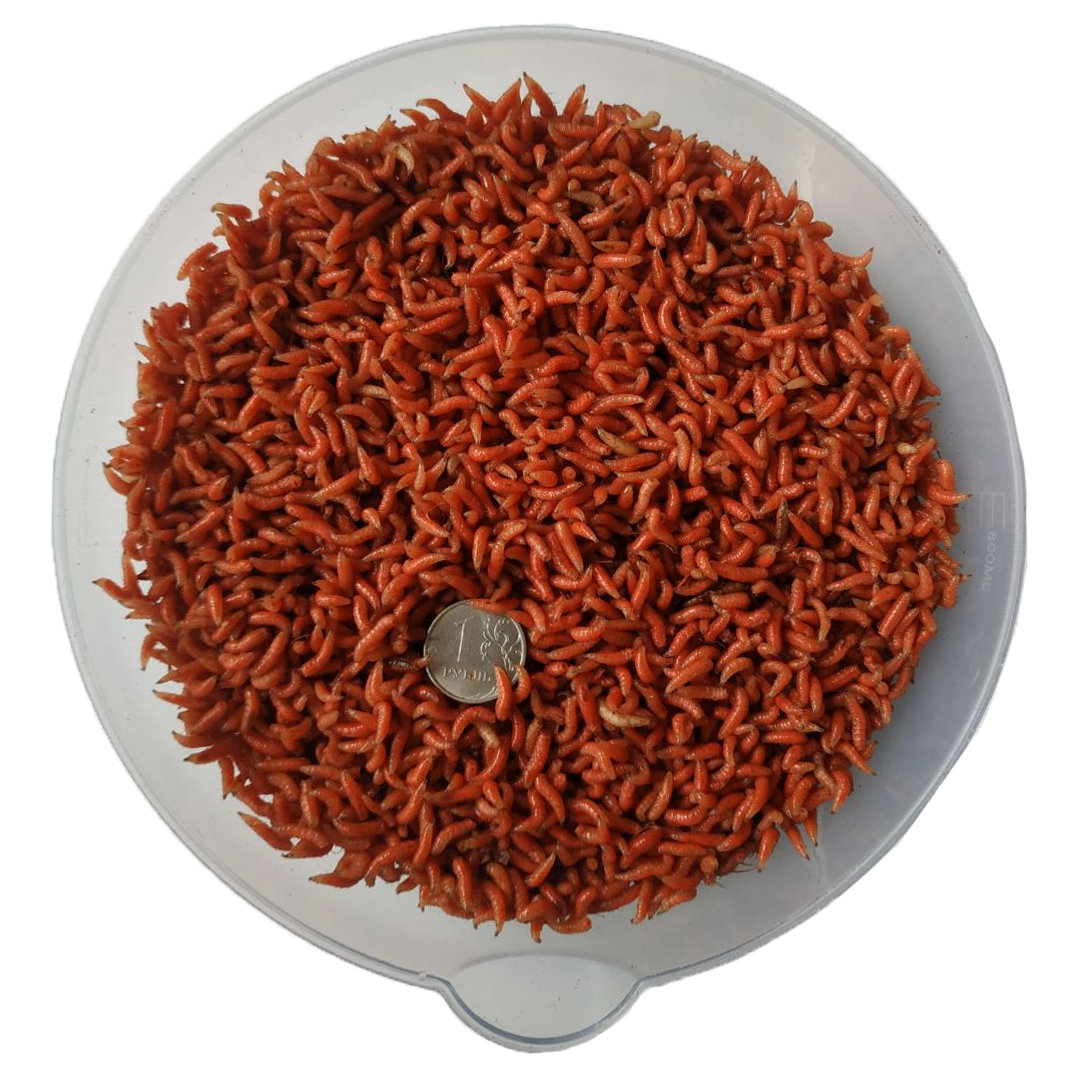 Опарыш весовой 01