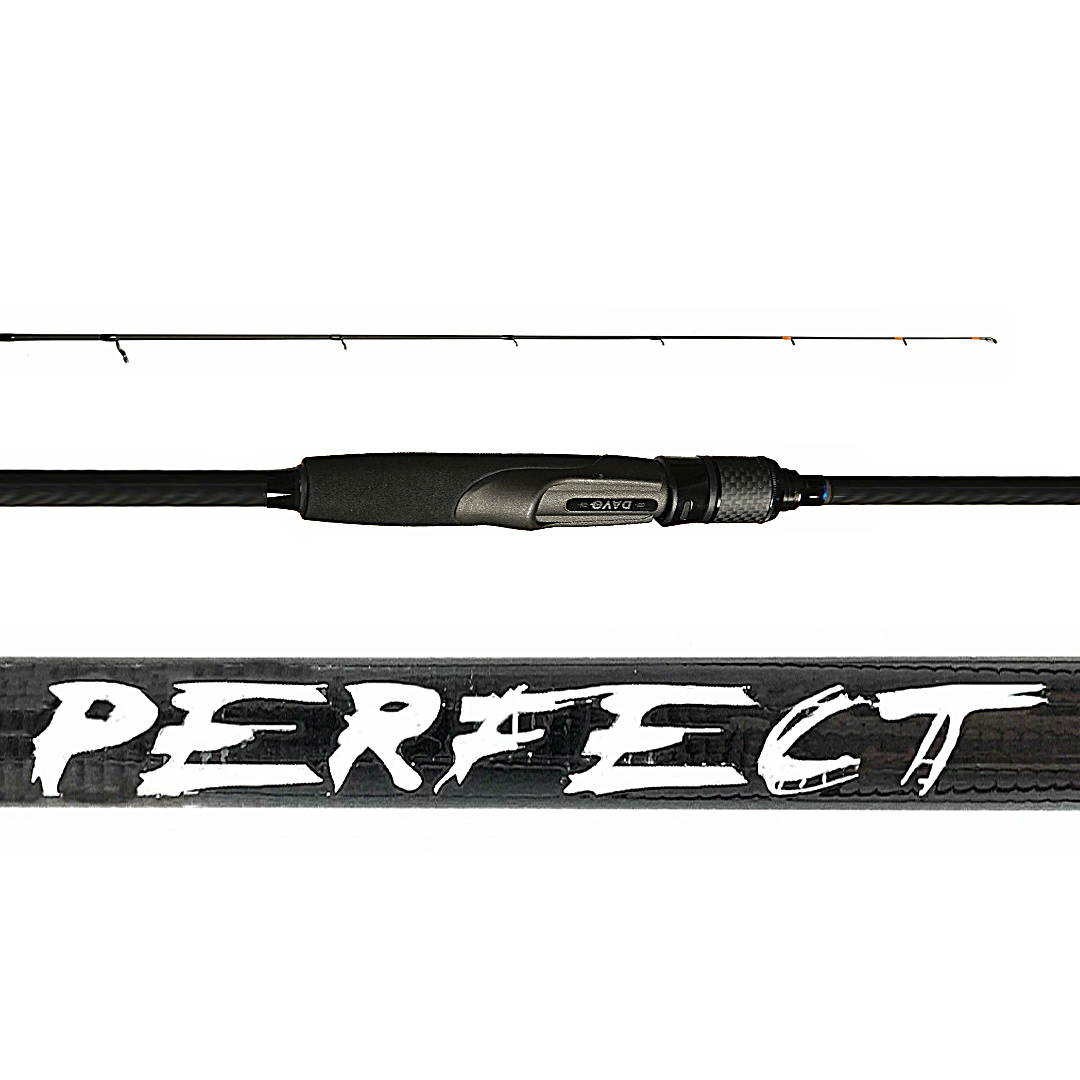 Спиннинг Dayo Perfect 00