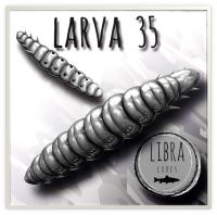 Larva 35