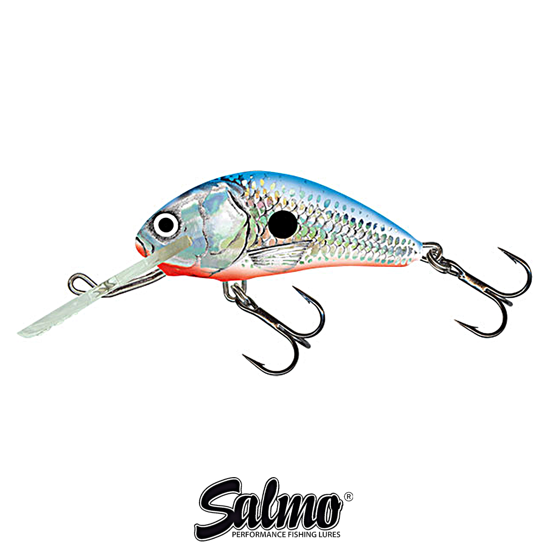 Воблер Salmo Hornet 5F SBS