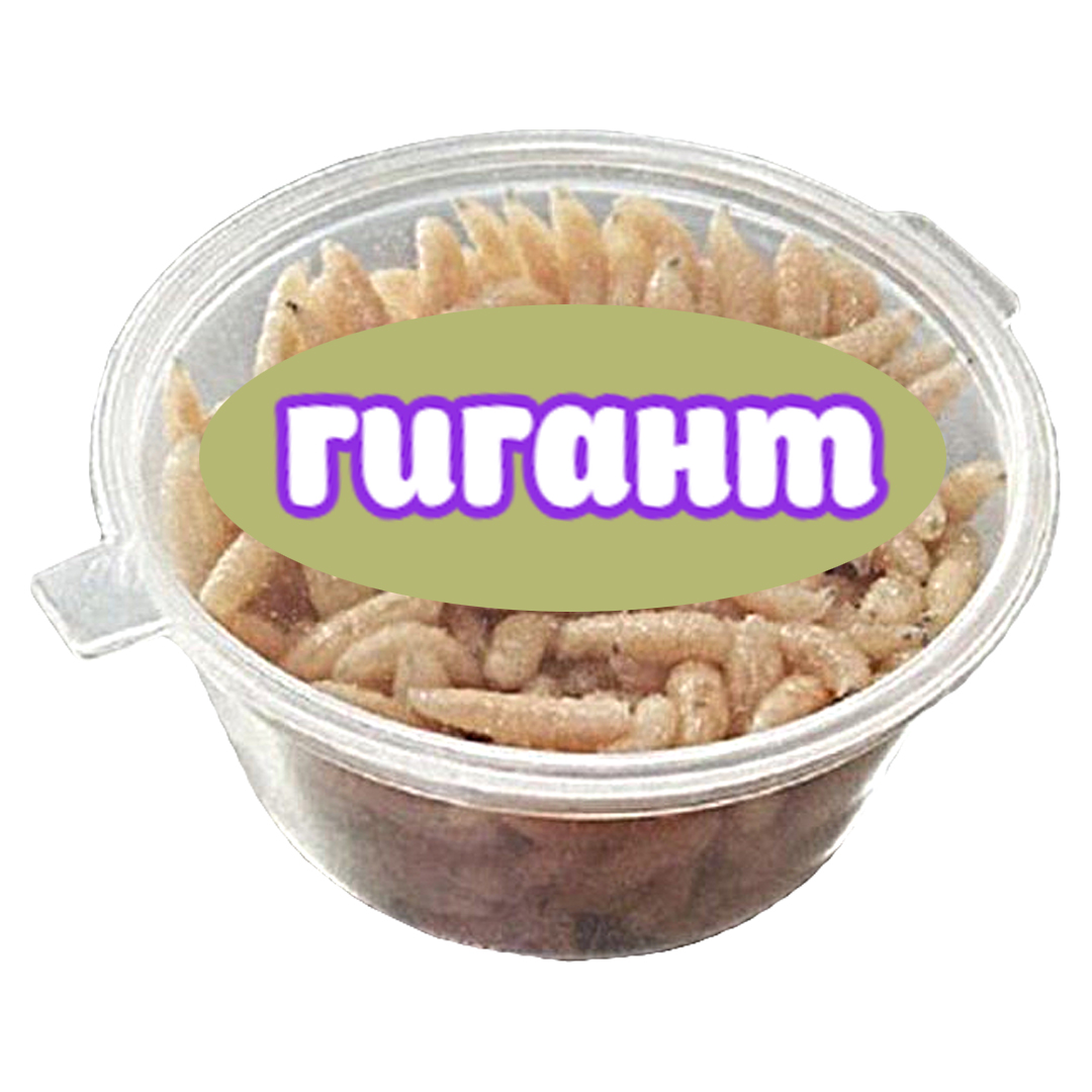 Опарыш в банке Гигант 00