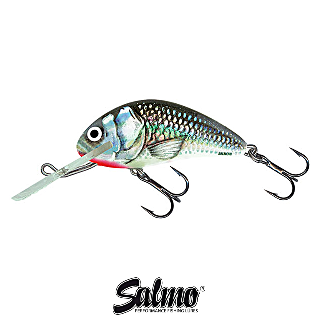 Воблер Salmo Hornet 6F HGS