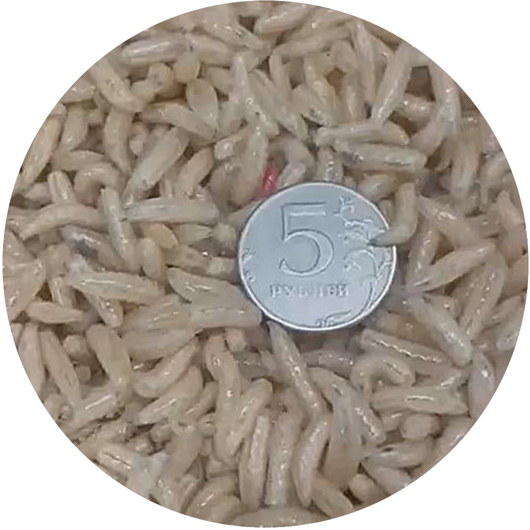 Опарыш в банке Гигант 01