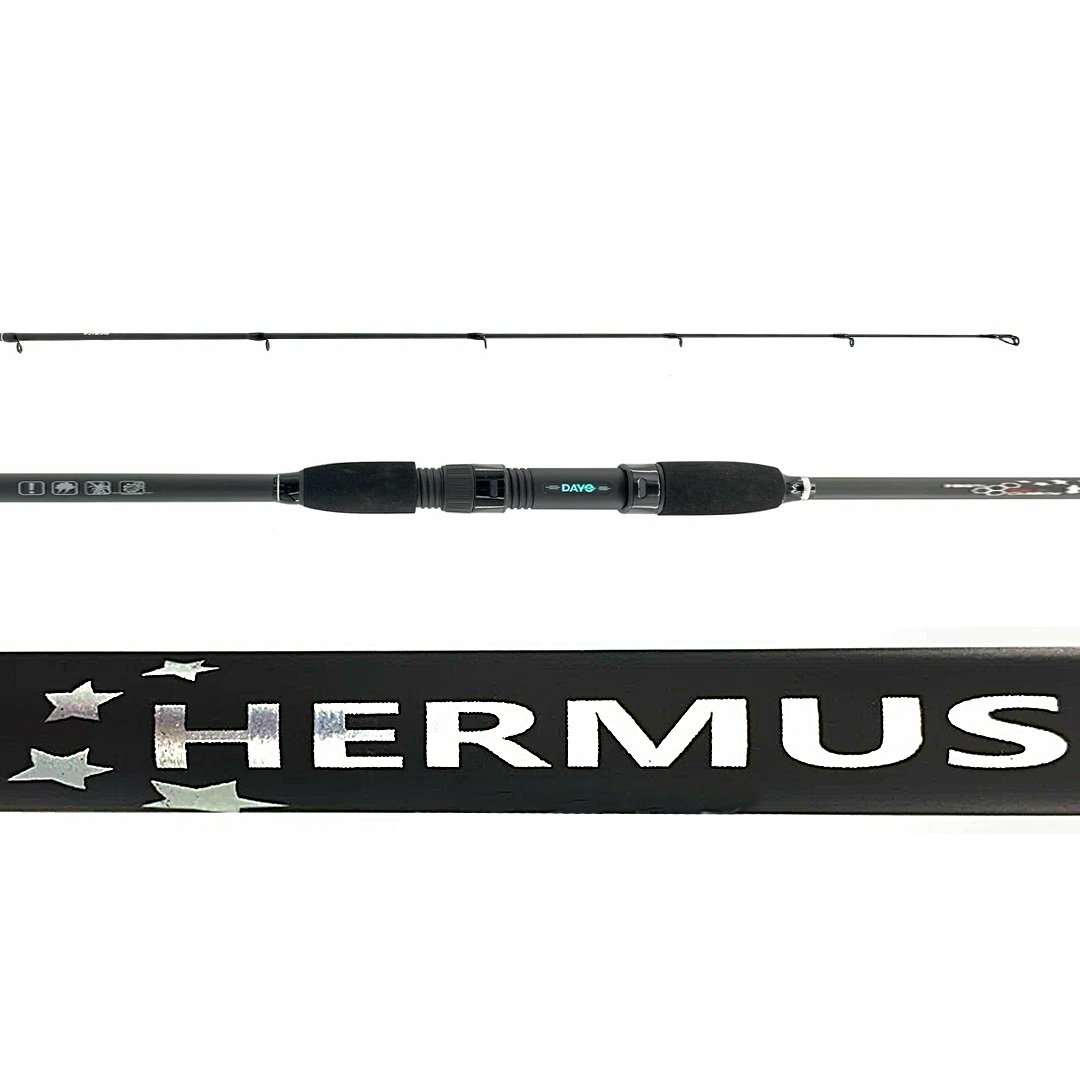 Спиннинг Dayo Hermus Travel 00