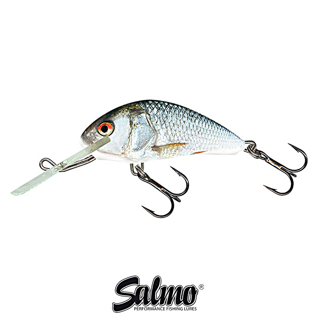 Воблер Salmo Hornet 4F RD