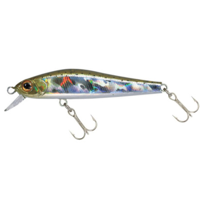 Воблер ZipBaits Rigge  56F (810)