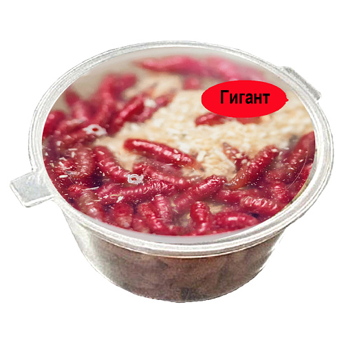 Опарыш в банке Гигант 03 Красный