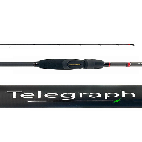 Спиннинг Dayo Telegraph 00