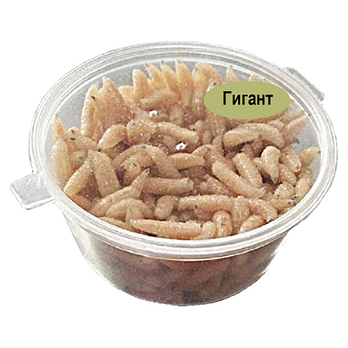 Опарыш в банке Гигант 02 Белый