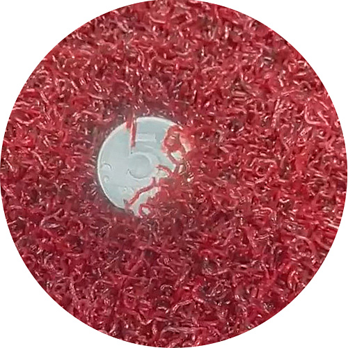 Мотыль кормовой 00