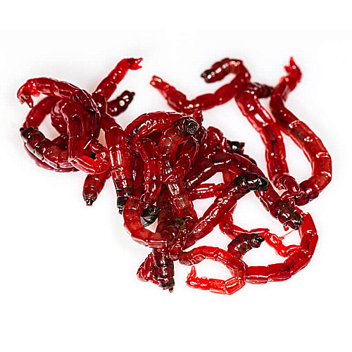 Мотыль насадочный