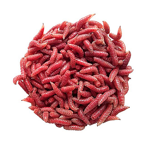 Опарыш 02 кра