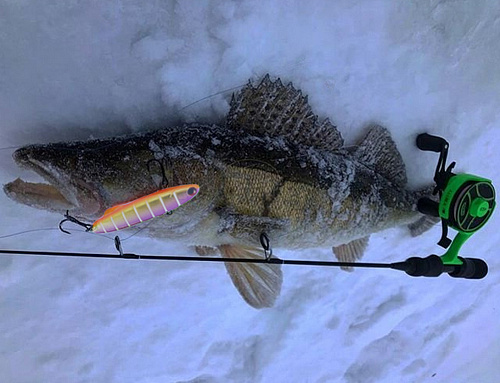 Ратлины Madness Shiriten Baguette а рыбка