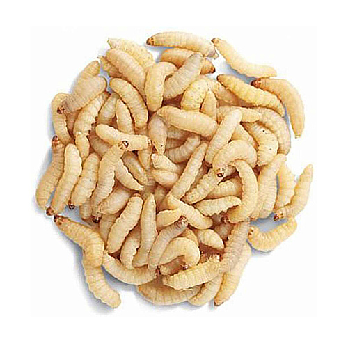 Опарыш 01 бел