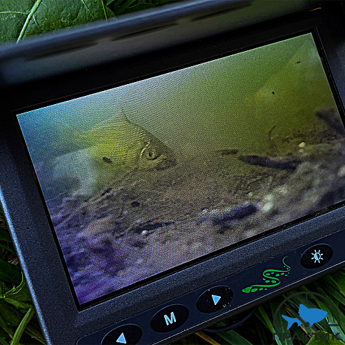 Подводная видео-камера Murena Mini 04