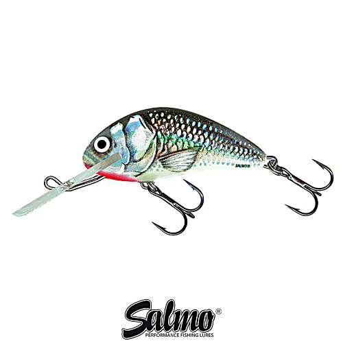 Воблер Salmo Hornet 6F HGS