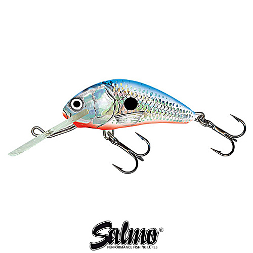 Воблер Salmo Hornet 4F SBS