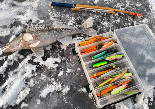 Ратлины Madness Shiriten Baguette б коробка