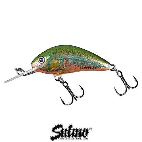Воблер Salmo Hornet 4F HO