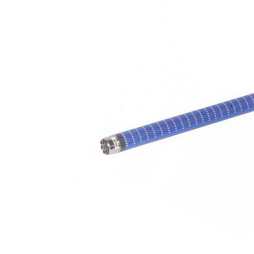 болонское волжанка мини 02