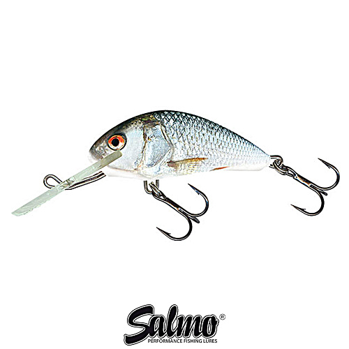 Воблер Salmo Hornet 5F RD