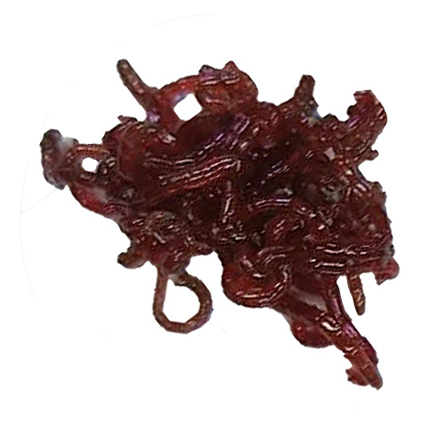 Мотыль кормовой Лиман 00