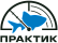 Практик-НЦ